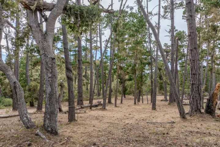 1070 Spyglass Woods Drive, Pebble Beach, California 93953
