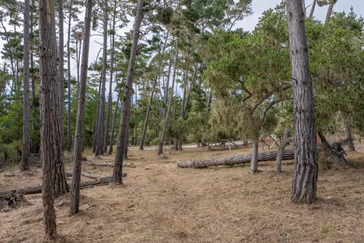 1070 Spyglass Woods Drive, Pebble Beach, California 93953