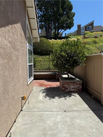 side of backyard