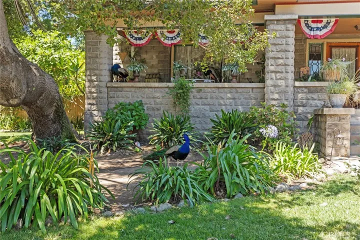 Several peacocks roam this historic area.