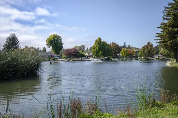 121 Palo Verde Terrace, Santa Cruz, California 95060