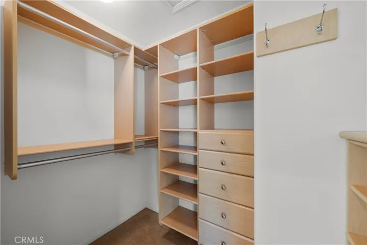 Master walk-in closet #2