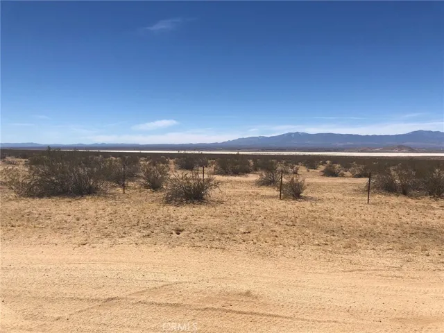 View from your southern boundary looking south.