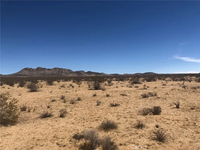 View looking NE