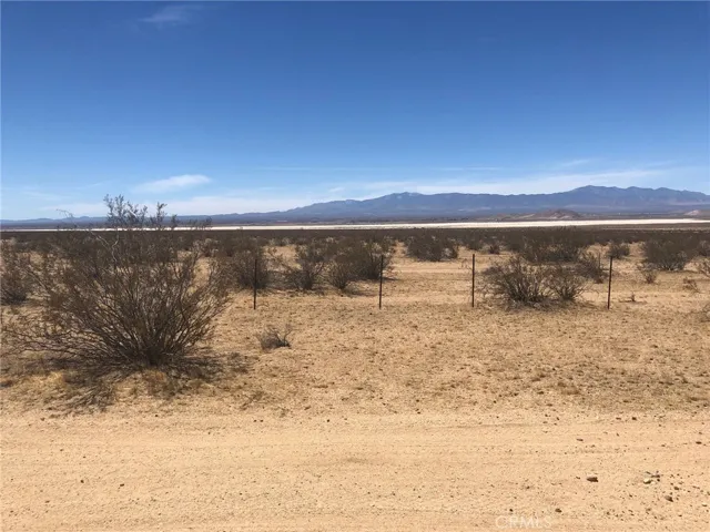 View looking south at your access road on the southern boundary.