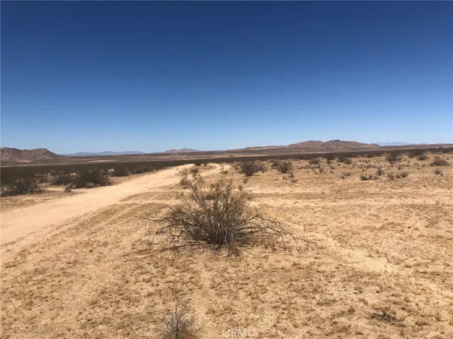 View looking west from the southern boundary.