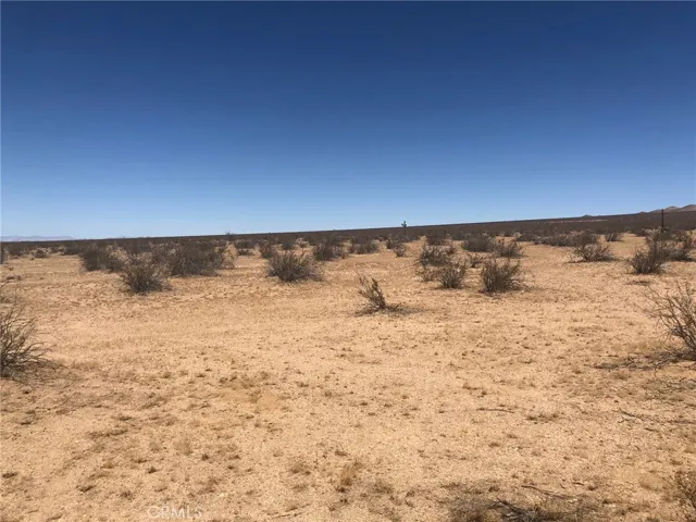 View looking north close to eastern boundary
