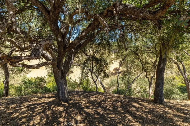 This is your backyard view