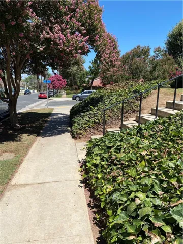 sidewalk/street view