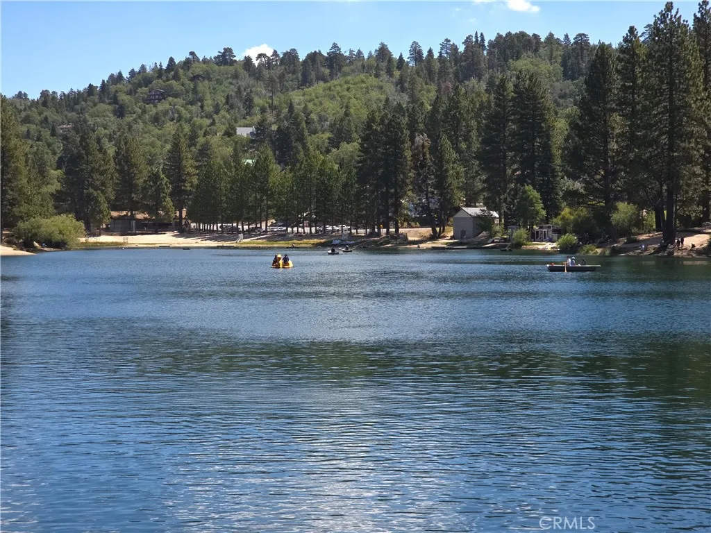 33007 Spruce Drive, Green Valley Lake, California 92341 home-pic-42