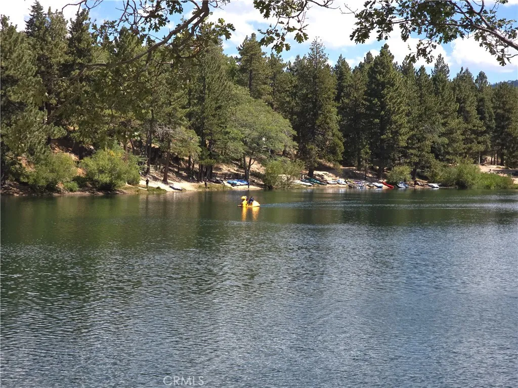 33007 Spruce Drive, Green Valley Lake, California 92341 home-pic-39