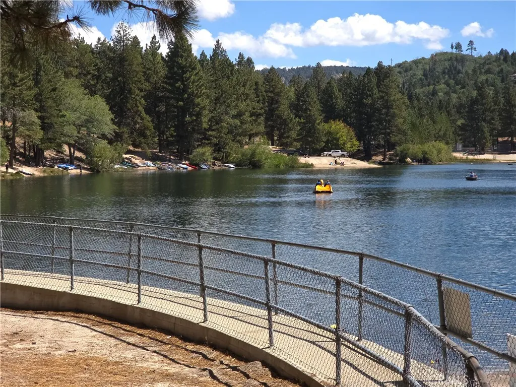 33007 Spruce Drive, Green Valley Lake, California 92341 home-pic-40
