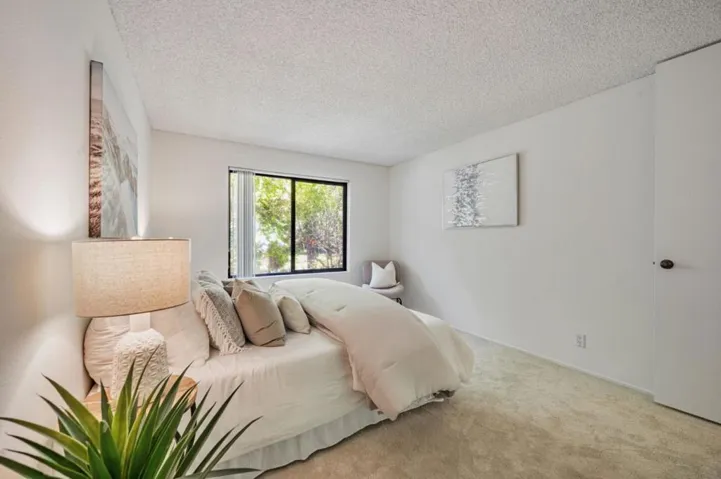 5217 Shelter Creek Lane 5217, San Bruno, California 94066