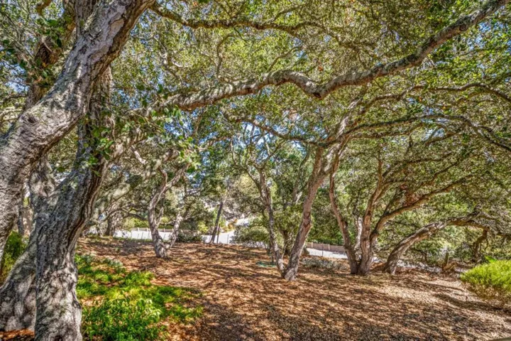 12500 Saddle Way, Carmel Valley, California 93924