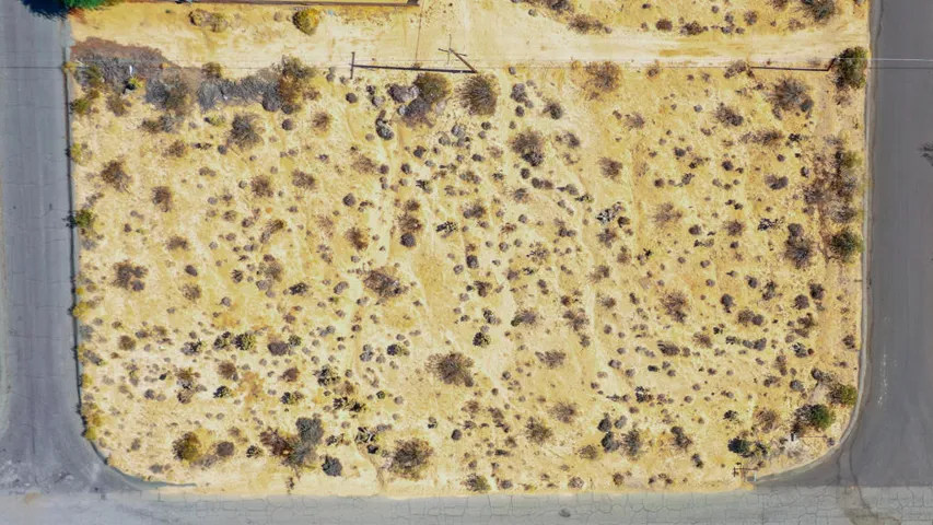 Joshua Tree Drone Photography-6