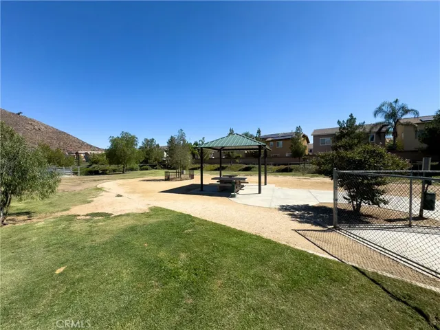 Dog Park