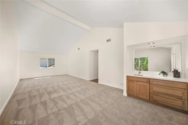 BONUS ROOM. Massive space with sink and storage.