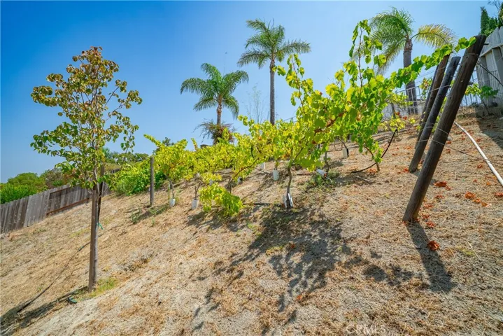 5245 Mandarin Dr., Oceanside, California 92056