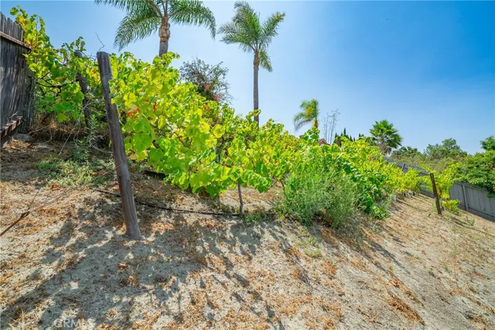 5245 Mandarin Dr., Oceanside, California 92056