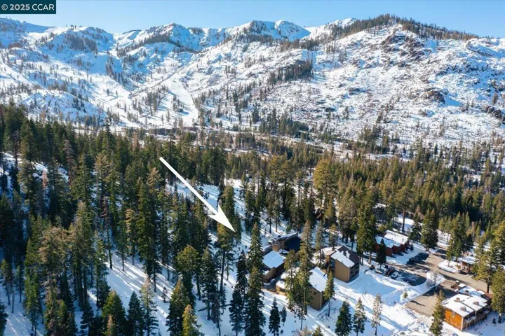 Nestled among the pines, this mountain retreat offers a prime location at the base of the slopes, just steps from world-class skiing and year-round alpine adventure.