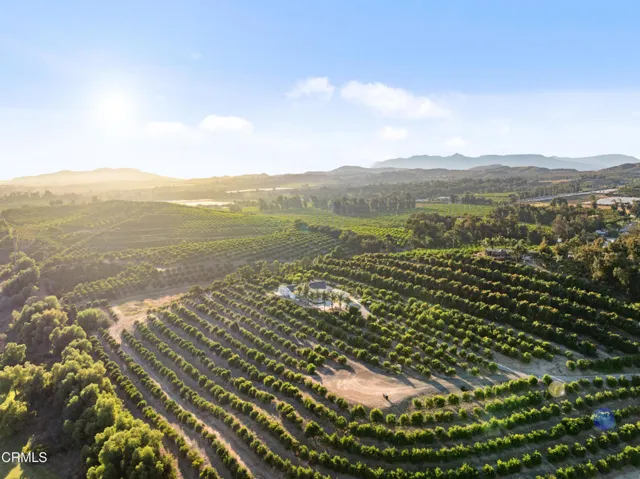 dji_20250709190430_0124_d