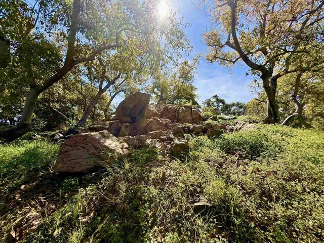 3160 Slivkoff Drive, Escondido, California 92027