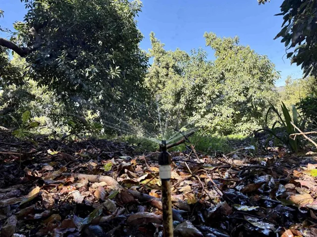 3160 Slivkoff Drive, Escondido, California 92027
