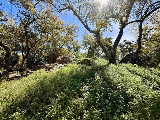 3160 Slivkoff Drive, Escondido, California 92027