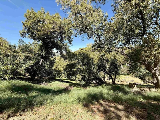 3160 Slivkoff Drive, Escondido, California 92027
