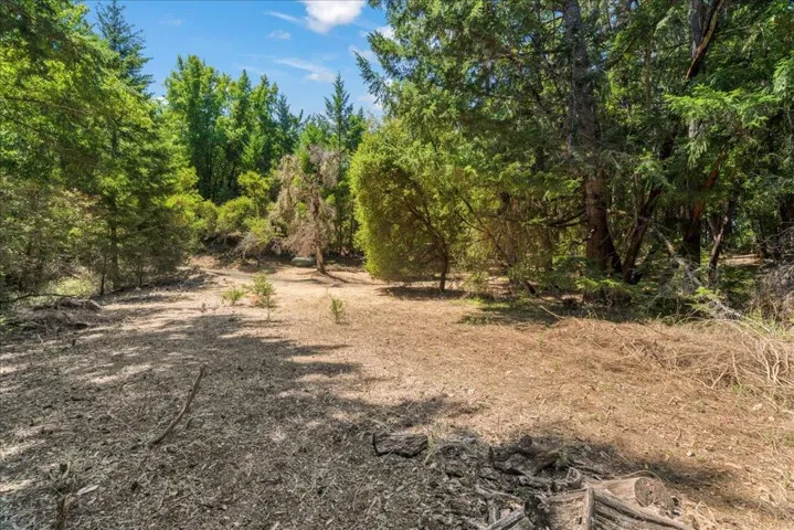 13770 Madrone Place, Los Gatos, California 95033