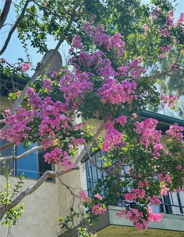 2300 S Hacienda Boulevard B2, Hacienda Heights, California 91745