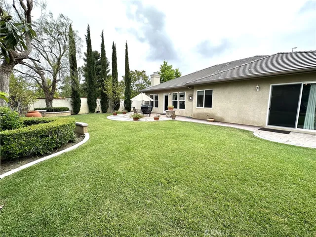 Large Back Yard