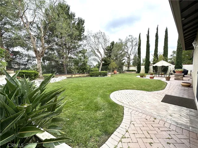 Large Back Yard