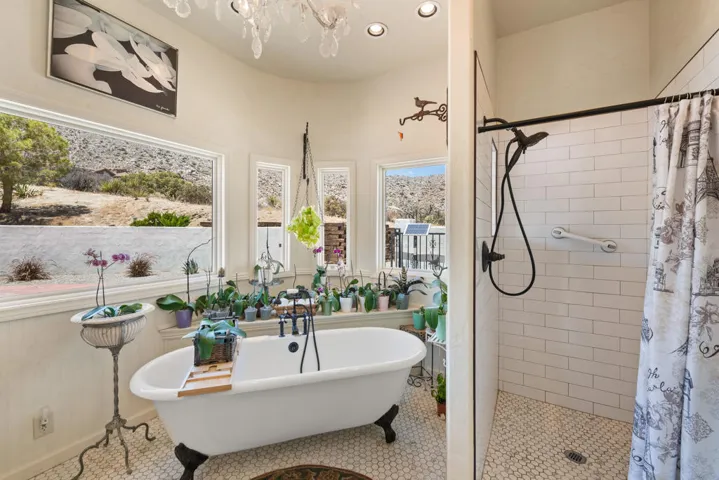 Claw Foot Soaking Tub