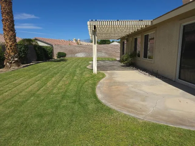 CB Backyard 3