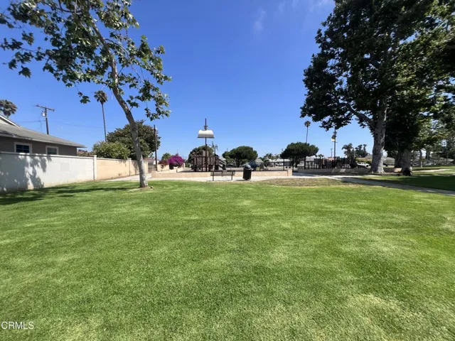 Park view