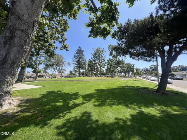 Park view 2