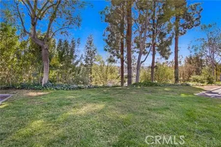 Plenty Of Greenbelts for Pets and Kids To Play