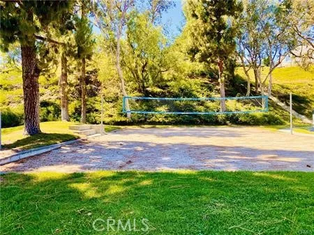 Volley Ball Court Adjacent To Home