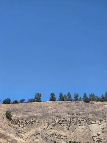 A ring of pines