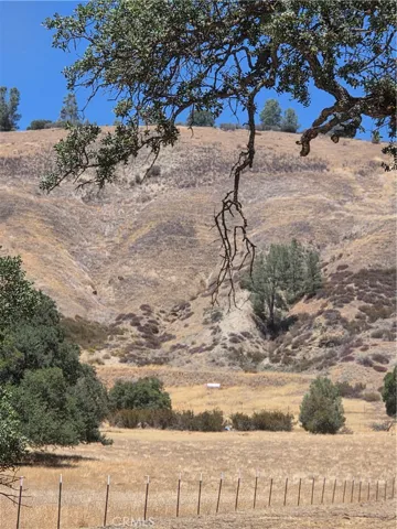 Scattered oaks and old cabin shell