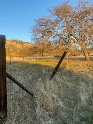 Some fencing