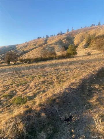Property is back in the trees