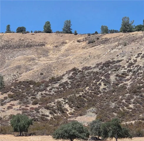 Grassland and oaks, California chamise at higher elevations.