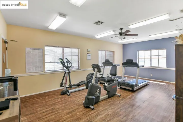 Workout room featuring a ceiling fan, healthy amount of natural light, and wood finished floors