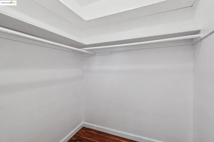 Spacious closet with dark wood finished floors