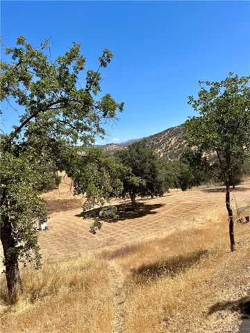 40075 Cornflower Lane, Squaw Valley, California 93675
