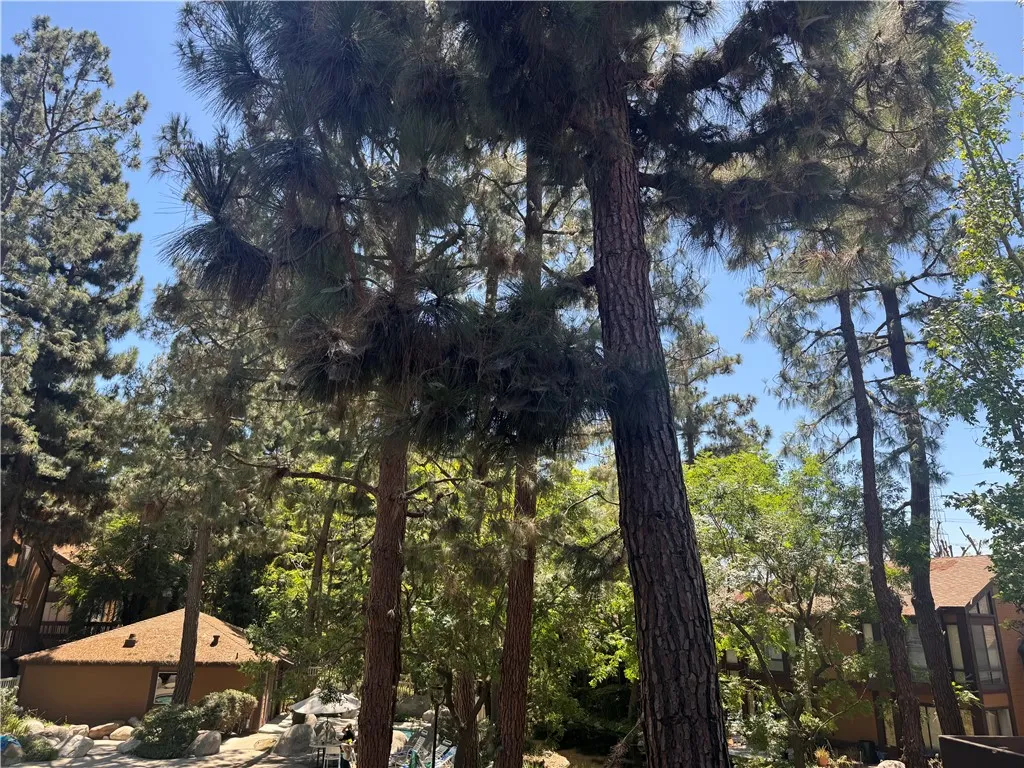 13936 Edgewater Drive 122, Norwalk, California 90650 home-pic-23