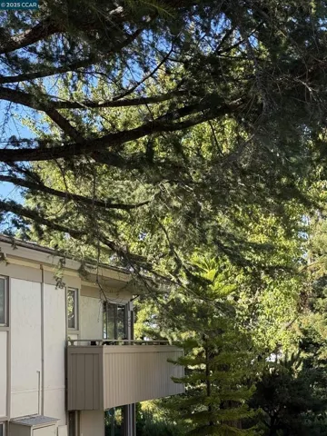 2825 Ptarmigan, Walnut Creek, California 94595