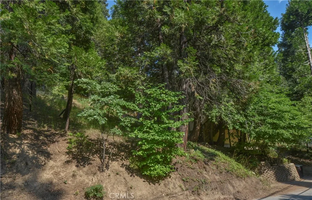 761 Arrowhead Villa Road, Lake Arrowhead, California 92352 home-pic-24